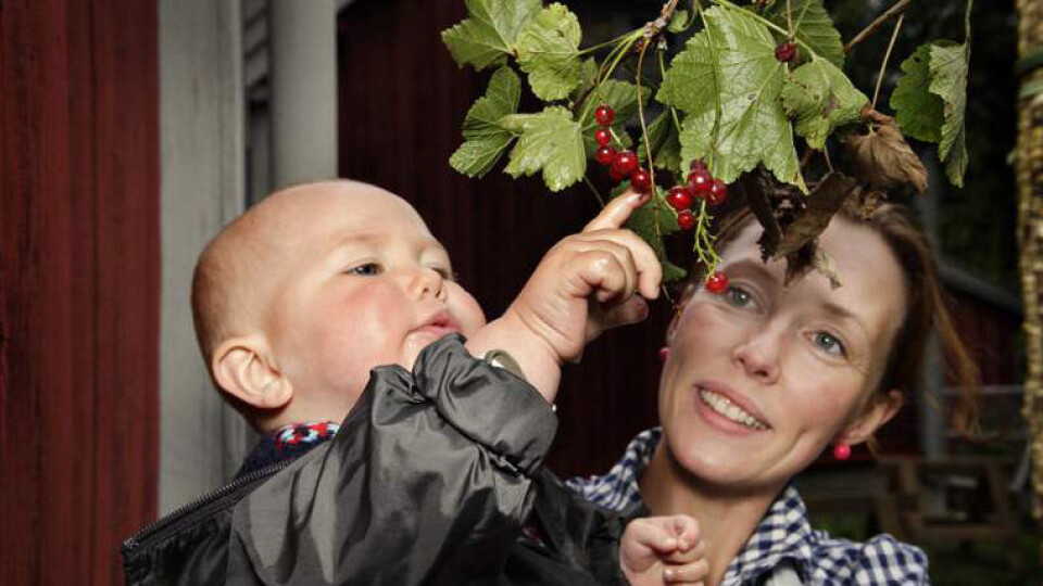 Aldri for tidlig å lære seg matglede.