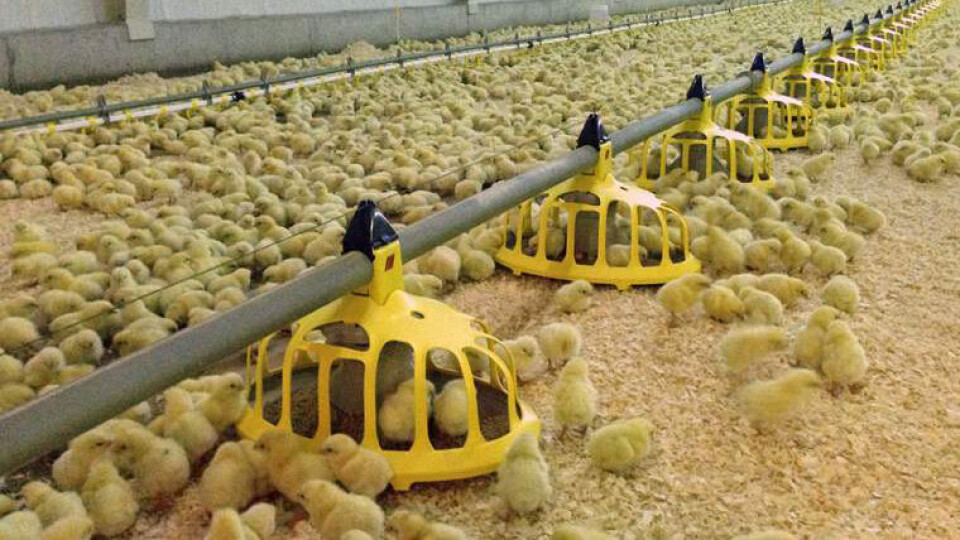 Rema 1000 har overtatt hele Hugaas Rugeri.