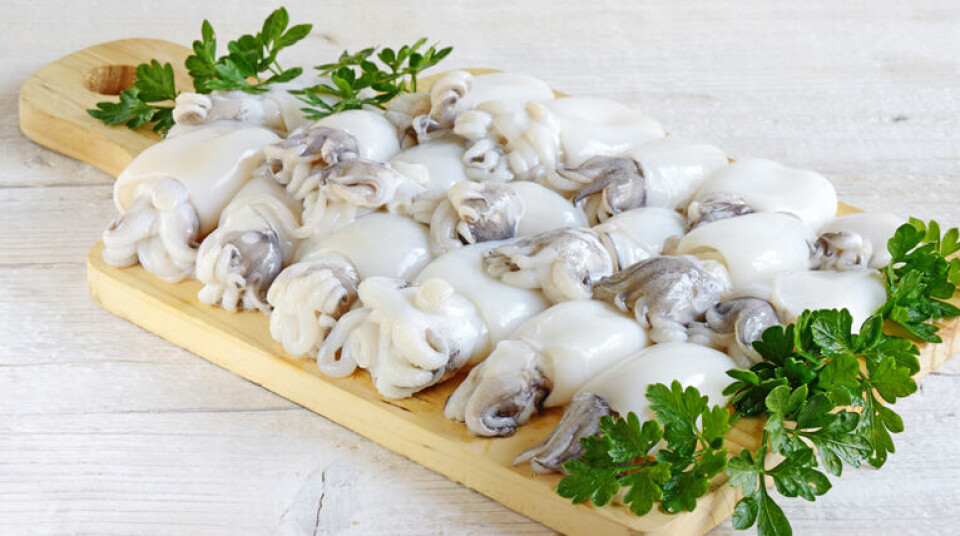 BLEKET? Er hydrogenperoksid prosesseringsmiddel eller tilsetningsstoff? (Illustrasjonsfoto: Shutterstock)