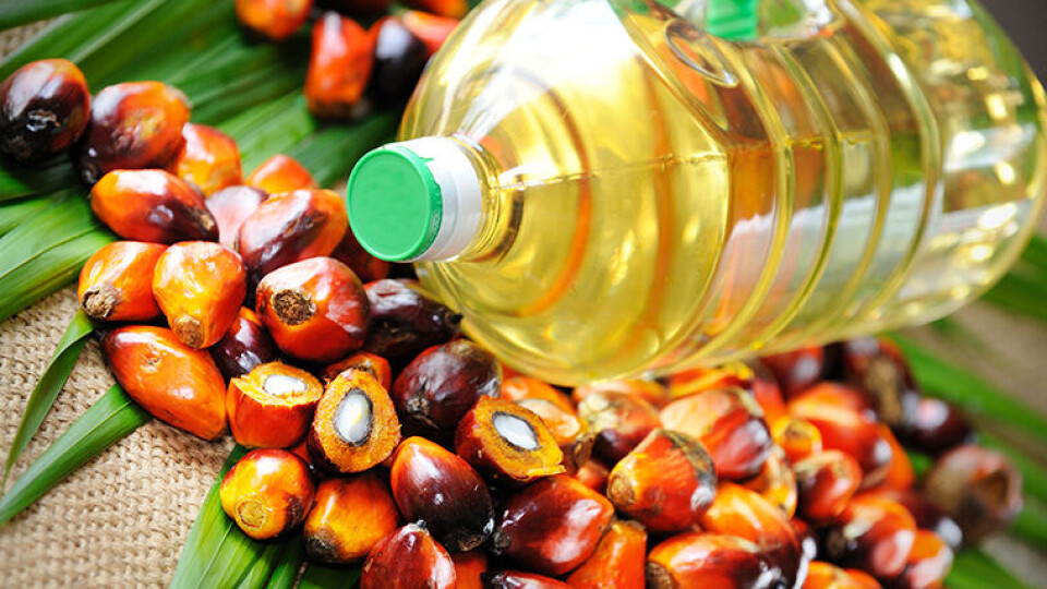 MER BEKYMRET: Norske forbrukere er mer bekymret for hva maten inneholder enn tidligere, viser fersk YouGov-undersøkelse. I Norge er man mer bekymret for palmeolje i maten enn i de andre nordiske landene. (Arkivfoto)