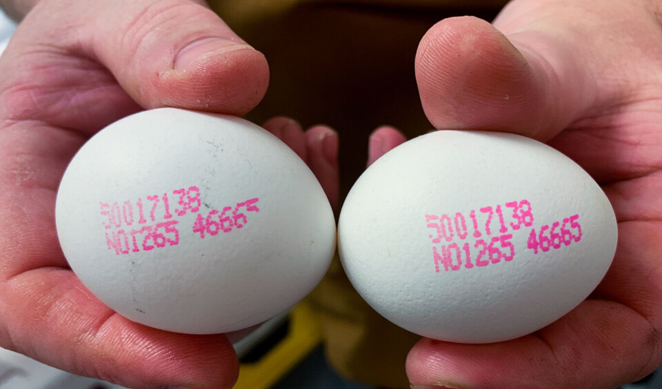 Produktgruppesjef Kjersti Sørby i Prior er overrasket over den lave kjennskapen til Priors sporingstjeneste for egg.