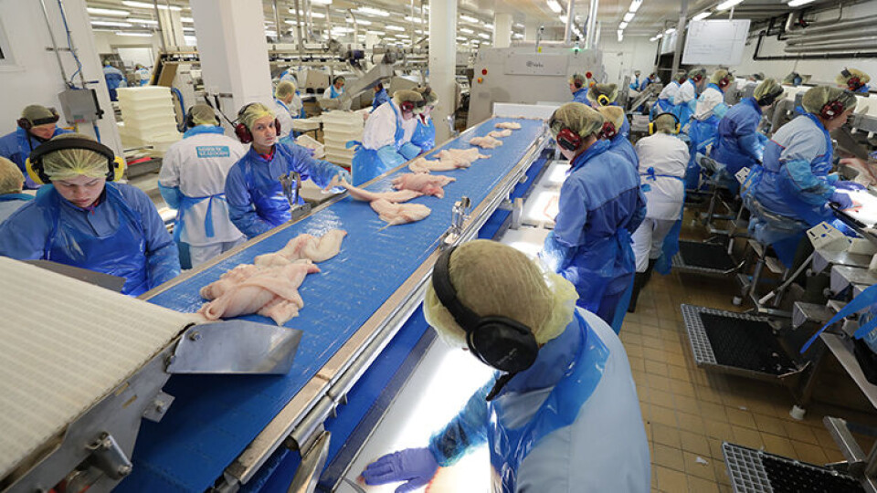 FISKEINDUSTRIEN: Stadig flere norske arbeidstakere forlater norsk fiskeindustri. (Illustrasjonsfoto: Ole Åsheim)