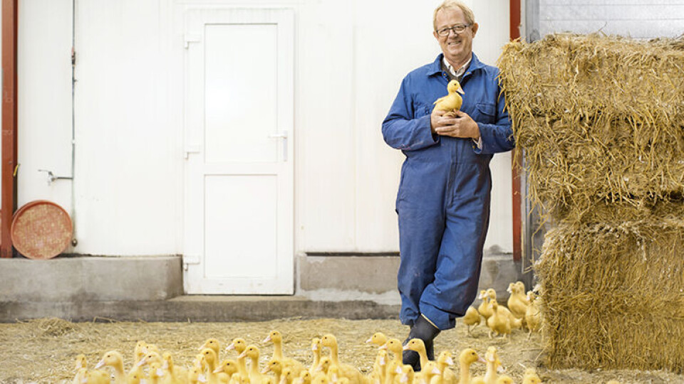 FINALIST: Gårdsand er en av finalistene til Matskattstipend 2017. På bildet: Daglig leder i Gårdsand, Aadne Søyland. (Foto: Hans Fredrik Asbjørnsen)