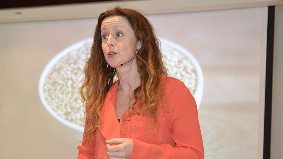 FEILMERKING: Ernæringsbiolog Lise von Krogh skriver om utfordringer knyttet til merking av protein på matvarer i sitt blogginnlegg. (Foto: Synnøve Prytz Berset)