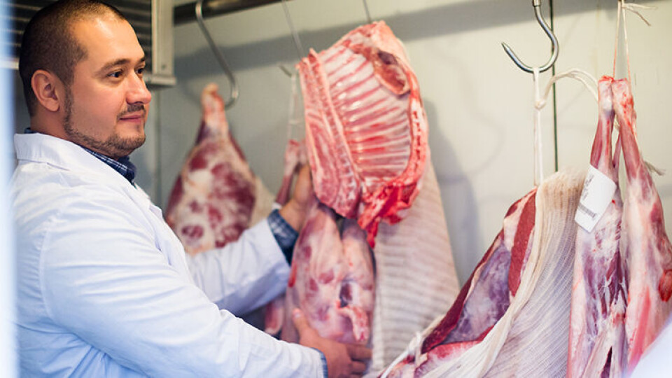SERTIFISERING: Nortura sier nå opp avtalen om islamsertifisering som de har hatt med Islamsk Råd Norge siden 2006. (Foto: Shutterstock)