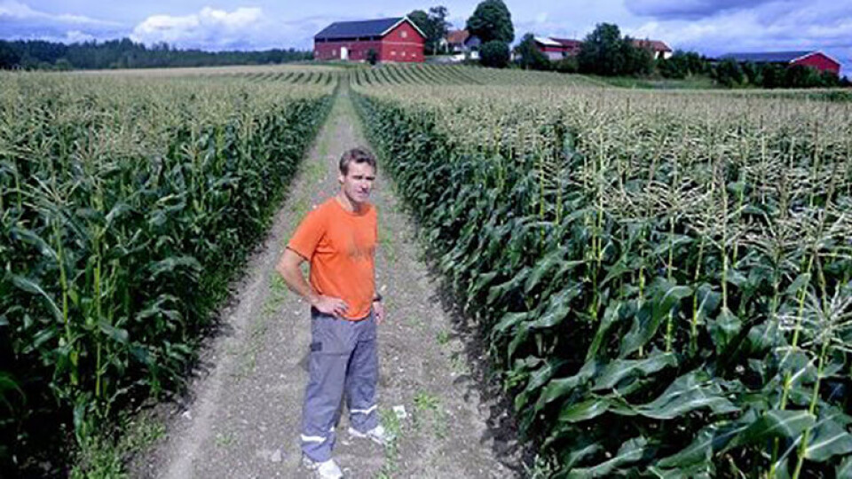 PRISVINNER: Ole Martin Tomter mottok i går Bedriftsutviklingsprisen i landbruket for Akershus for sin offensive tenking og unike utnyttelse av gårdens ressurser. (Foto: Innovasjon Norge)