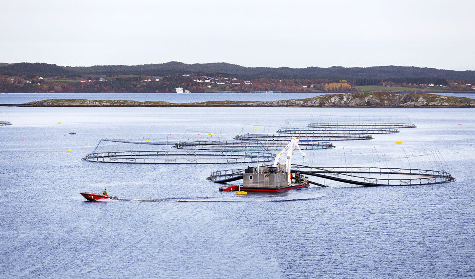 Statens regelråd kritiserer utredningen grunnrenteskatt (illustrasjonsfoto).