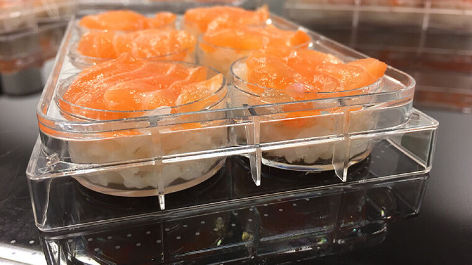 SUSHI: Bilde av et modellsystem som benyttes til belastningsforsøkene som er omtalt i artikkelen. (Foto: NTNU)