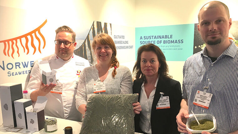 PÅ STAND: Norsk Taredyrkerforening hadde egen stand på Seafood Expo i år og fikk god respons og knyttet kontakter med det europeiske markedet. F.v: Thomas Madsen fra Austevoll Seaweed Farm, Marit Gjerstad og Turi-Britt Kuepers fra Norges Vel, og Nikolai Buer fra Lofoten Blue Harvest. (Foto: Marianne Lovise Strand)