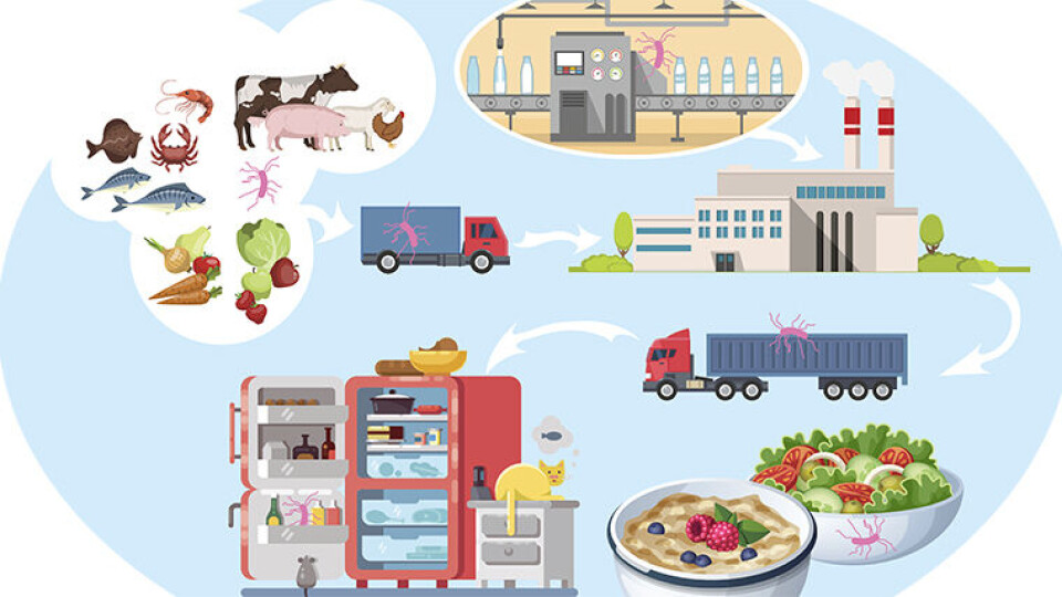 FRA JORD OG FJORD TIL BORD: Det er mange muligheter for forurensning med Listeria monocytogenes. (Illustrasjon: Lina Merit Jacobsen/Shutterstock, basert på tegning fra VKM.