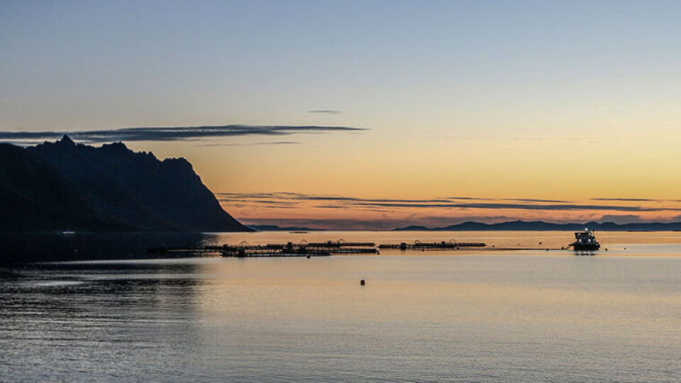 PORTAL: Fakta om mange sider ved norsk havbruk er nå lett tilgjengelig for alle. (Foto: Lidunn Boge, Nofima)