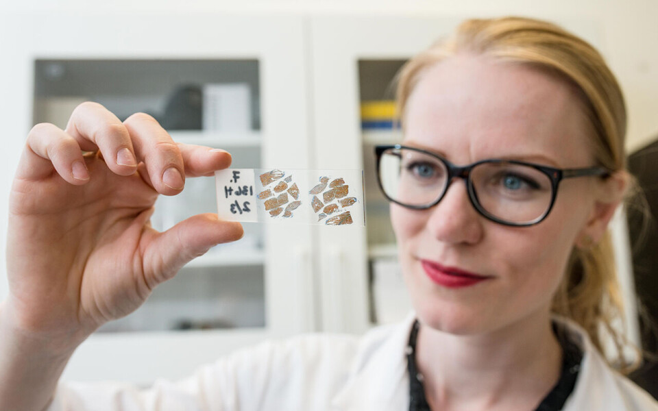 Foto Som barn var Marthe Jordbrekk Blikra en liten Petter Smart som ville bli oppfinner når hun ble stor. Nå har nysgjerrigheten drevet henne fram til doktorgrad i matvitenskap. Foto: Sarah Fjørtoft Jacobsen