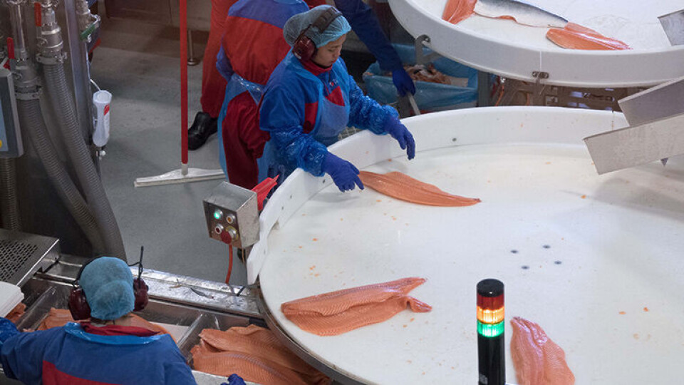 BALANSEGANG: Det er vanskelig å få til både mindre plastbruk og mindre matsvinn – mest mulig av laksen som går gjennom fabrikken, skal spises, ikke kastes. (Foto: Georg Mathisen)