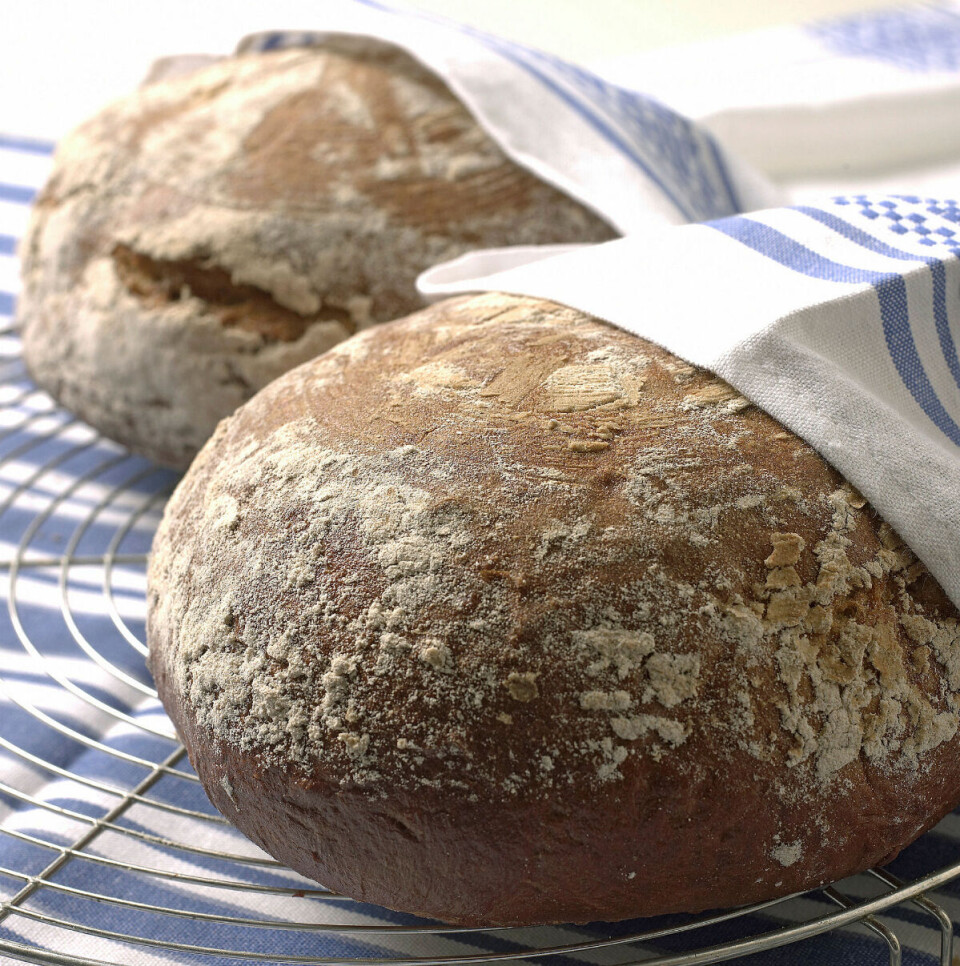 Foto Testpersonene fikk åtte varianter med byggbrød, med identiske ingredienser, men ulik tekstur. Foto: Alf Børjesson | Opplysningskontoret for brød og korn