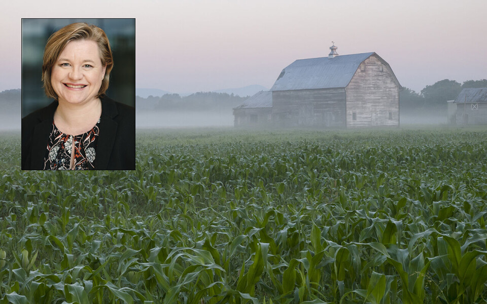 Anna Maria Karlsen (innfelt) er fagsjef matpolitikk i NHO Mat og Drikke.