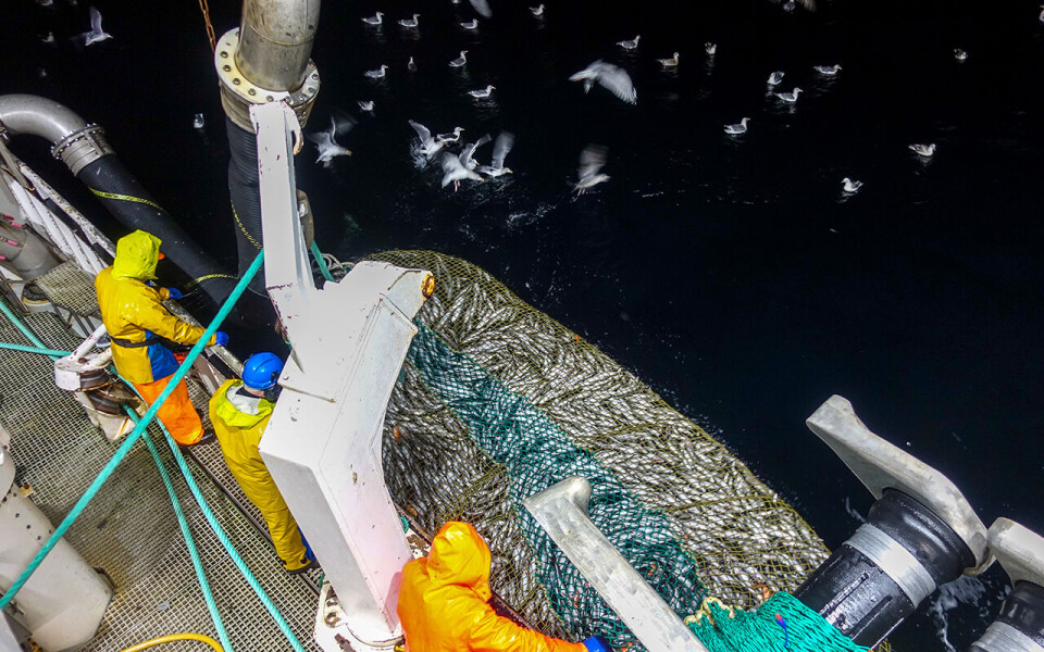 Fiskevelferd, kvalitet, etikk og verdiskaping i kystfiskeriene skal under forskerlupen.