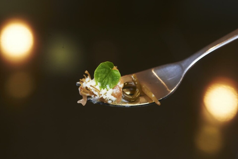 Markedet for gourmetmat har slitt under koronakrisen, og flere norske Michelin-steder har lidd store tap de siste ukene. Norske restauranter kan imidlertid håpe på en oppsving om det blir tidenes hjemmesommer, der folk vil betale for kortreiste norske kvalitetsråvarer. Illustrasjonsfoto: Kent Skibstad, NTB scanpix