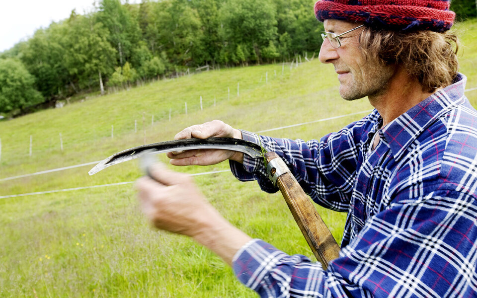 Bønder, fiskere og leger er blant dem som er mest fornøyd med jobben, viser levekårsundersøkelsen til SSB. (Illustrasjonsfoto)