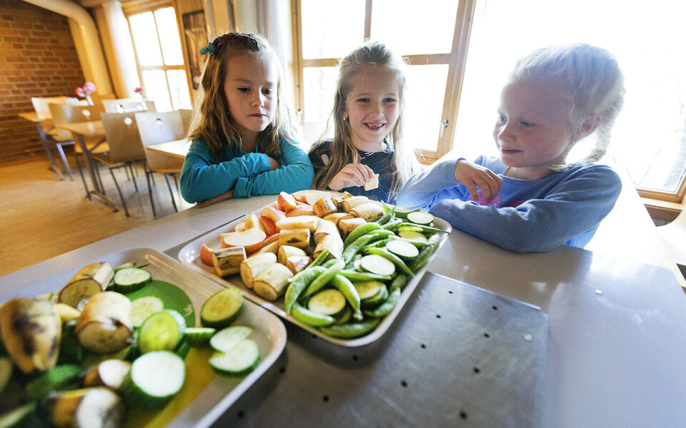 Sunn skolemat er blant tiltakene Norge burde innføre, mener et ekspertpanel med forskere fra Oslo Met.
