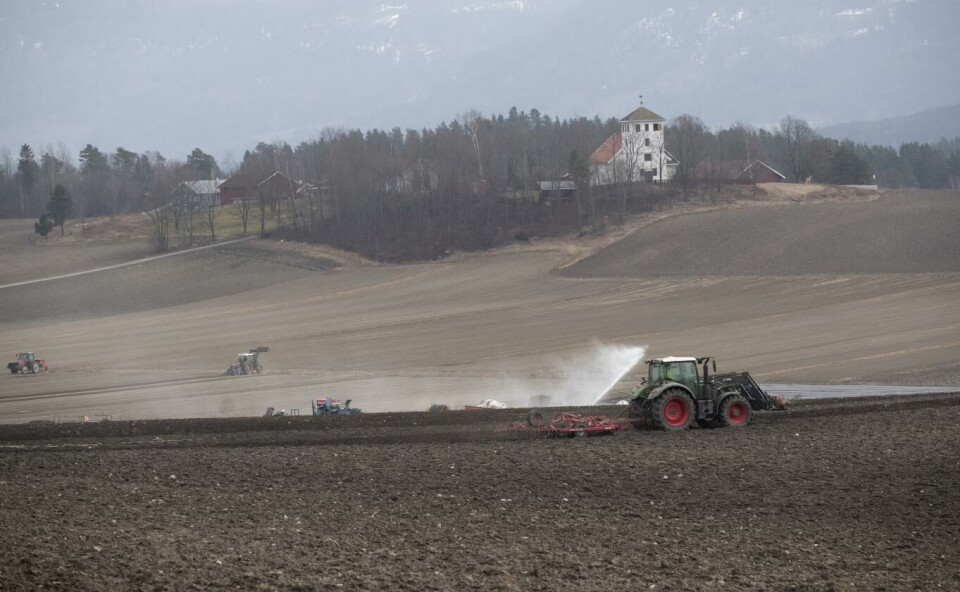 Bøndene bekymrer seg for redusert tilgang på utenlandsk arbeidskraft under koronapandemien. Illustrasjonsfoto: Terje Bendiksby, NTB