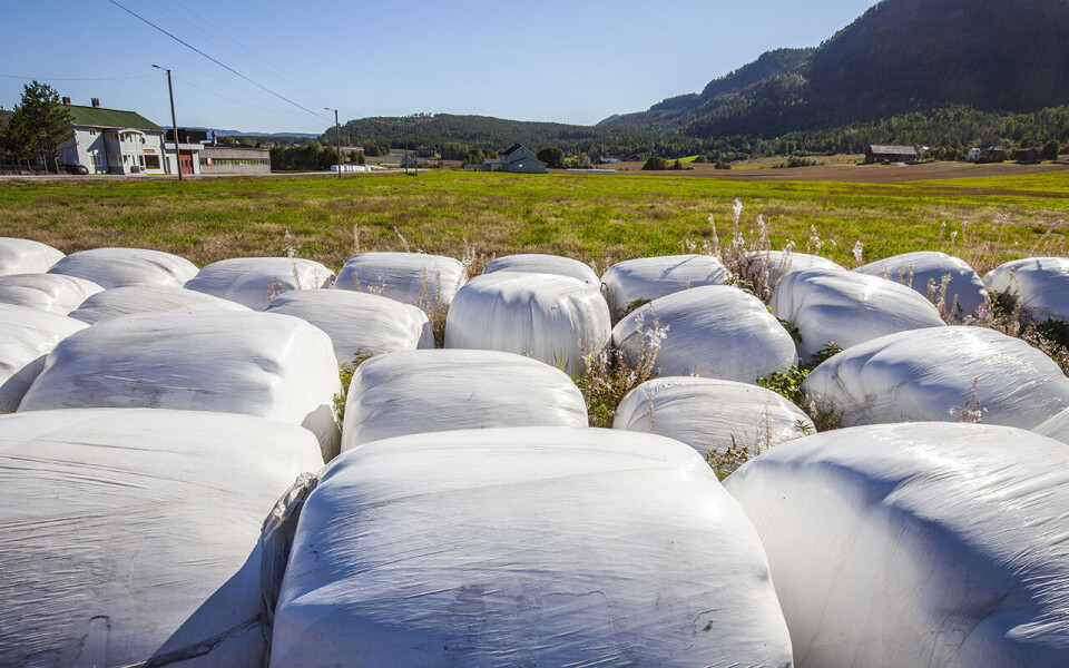 Plast fra slike rundballer er hovedårsaken til plastforurensingen i norske lakseelver, viser en ny undersøkelse.