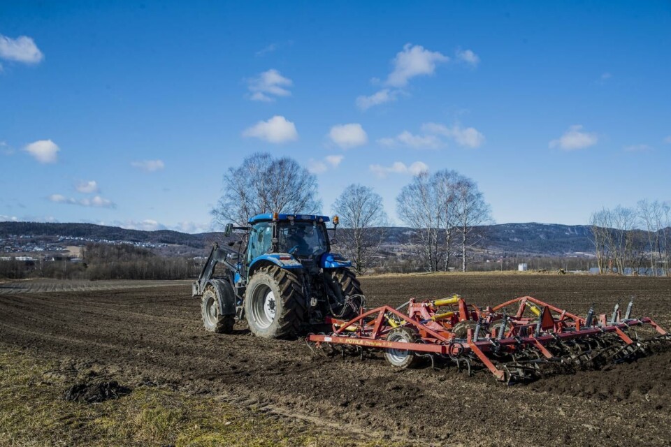 Norske bønder har slitt med å skaffe utenlandsk arbeidskraft til sesongarbeid under koronakrisen etter at grensene ble stengt. Nå vil Norges Bondelag samarbeide med Nav for å få flere nordmenn som sesongarbeidere. Illustrasjonsfoto: Terje Bendiksby, NTB