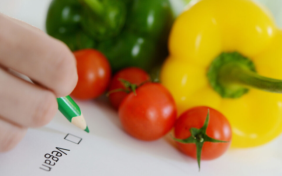 Norsk vegansamfunn mener vegantreff er en livssynsaktivitet.