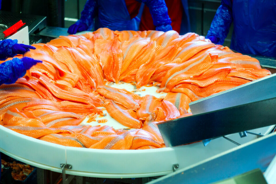 Influensere skal brukes til å selge norsk fisk i utlandet neste år. Foto: Gorm Kallestad, NTB
