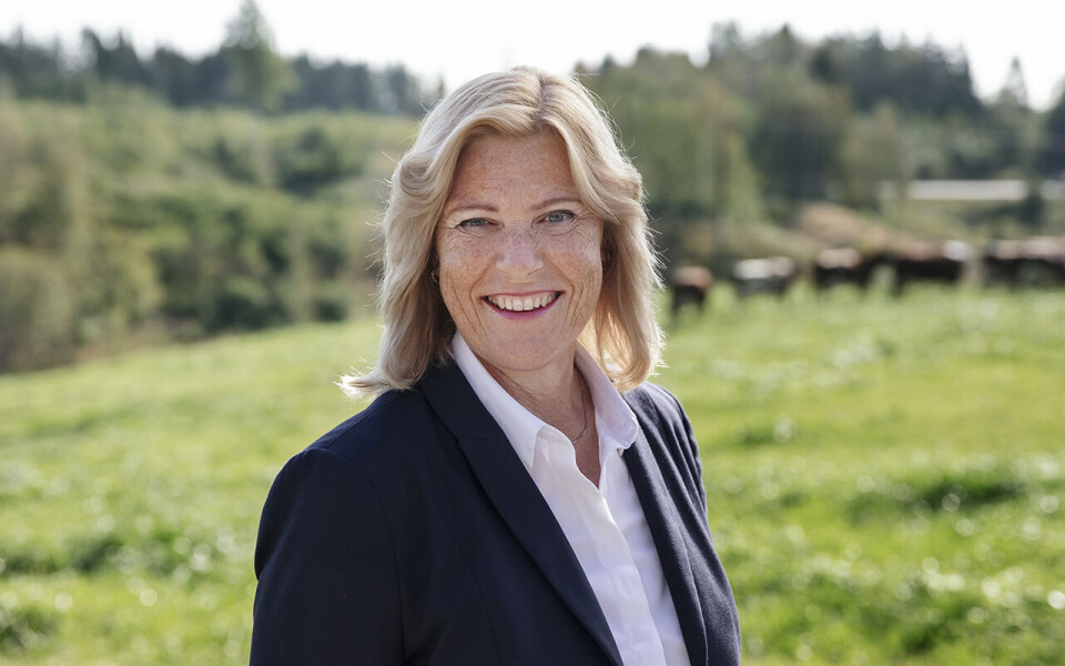 Resultatet påvirkes dessverre negativt av kraftig kostnadsøkning, særlig energi, råvarepris og cyberangrepet, sier konsernsjef Anne Marit Panengstuen.