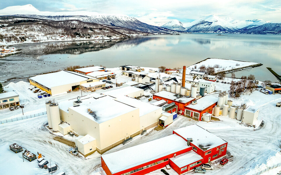 Tine har satset 230 millioner kroner på meieriet i Balsfjord.