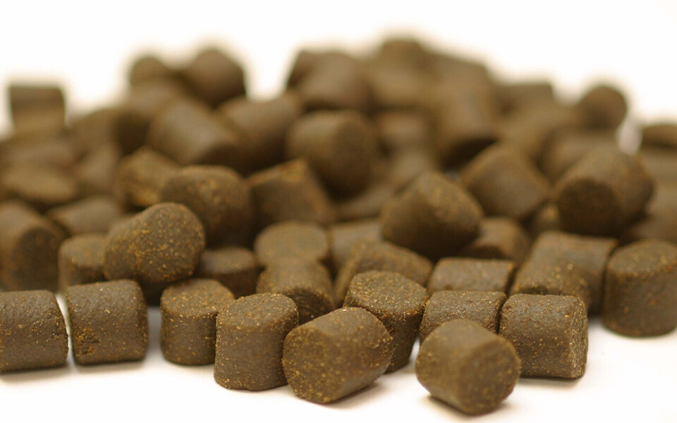 Foto Nye fôringredienser som insektmel, encelleprotein, fermenterte produkter og mikroalger utgjorde kun 0,4 prosent av det totale volum i laksefôr. Foto: Frank Gregersen | Nofima
