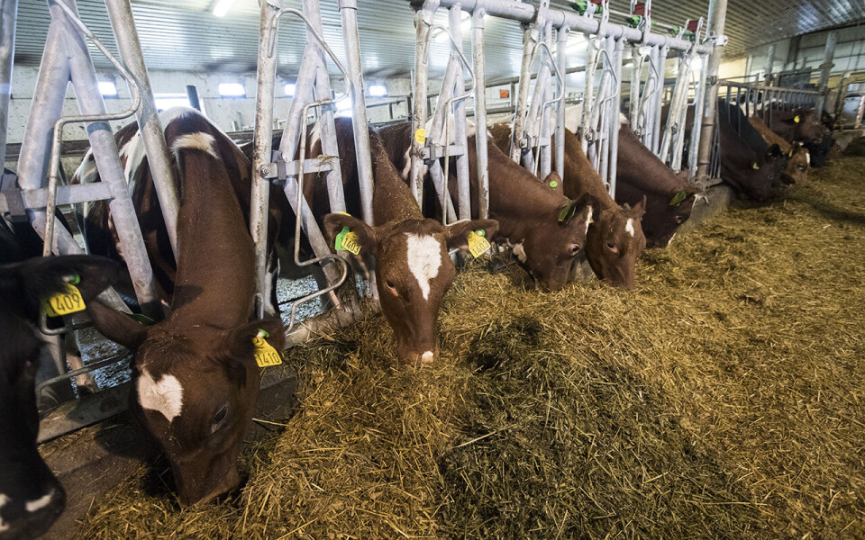 Mange bønder mener de får altfor lite igjen for maten de produserer, og mange har sluttet med dyr.