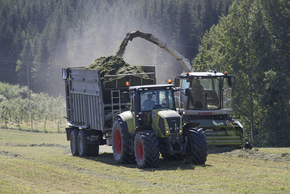 Landbruksdirektoratet utbetaler denne uka 14,9 milliarder kroner i produksjons- og avløsertilskudd til norske bønder. Foto: Terje Bendiksby / NTB