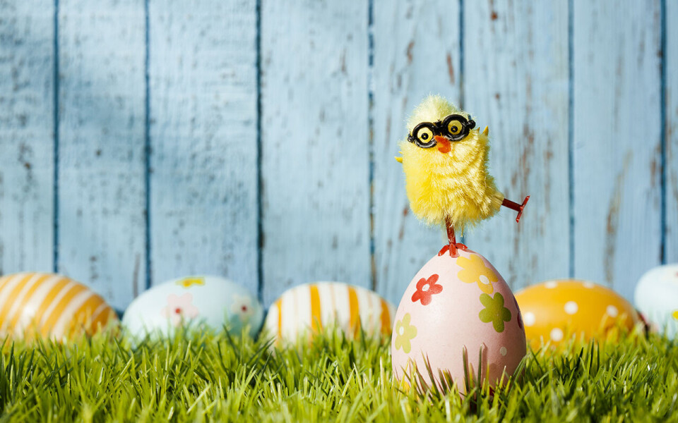Redaksjonen tar nå påskeferie og er tilbake tirsdag 19. april.