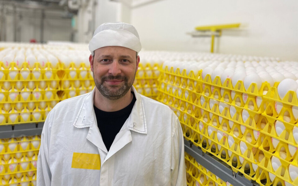 Thomas Ulseth er logistikksjef for egg i Nortura.