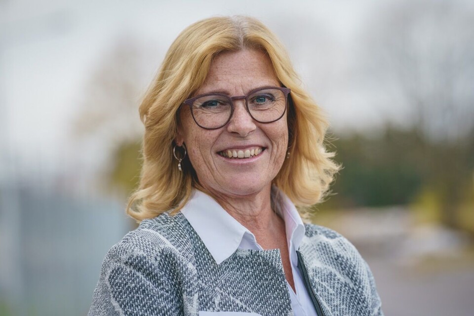 Ny bærekraftstrategi for egg og kjøtt