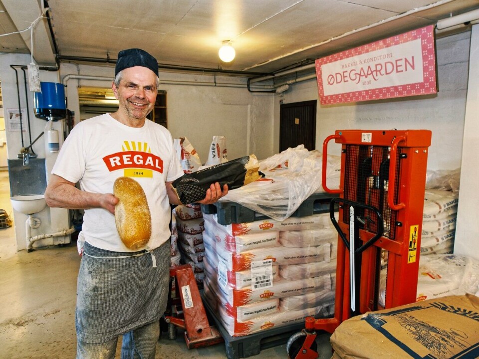 Bakermester Terje Storødegård vil gjerne ha norsk mathvete, men noen ganger er den rett og slett ikke god nok å bake brød med.