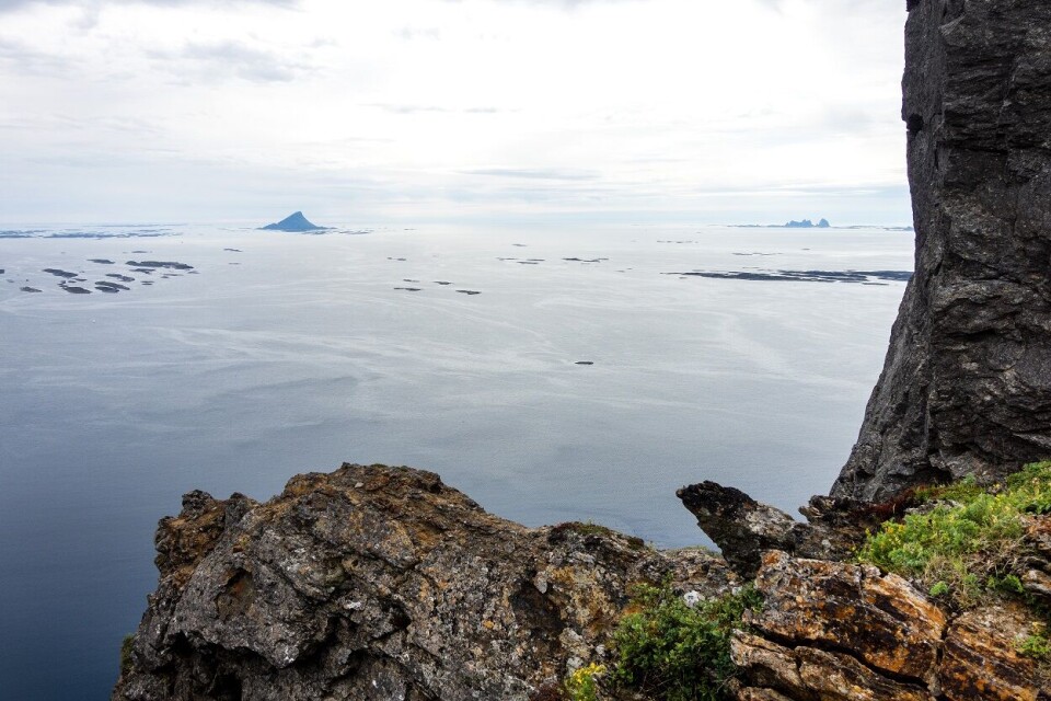 Nordland vil ha havvind på Helgelandskysten
