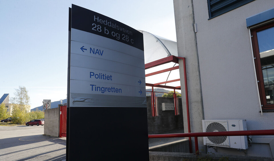 Tiltalt for dyremishandling – skal ha rygget over hodet til påkjørt rådyr