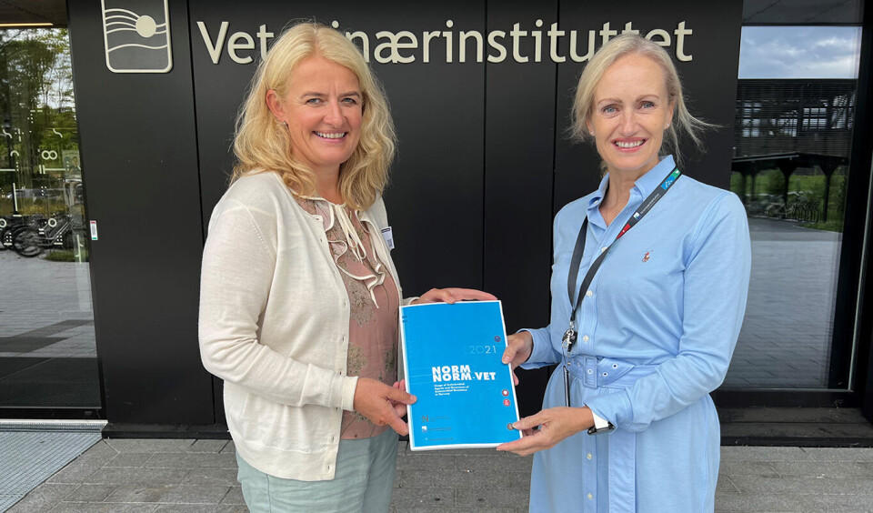 Friske dyr gir lav bruk av antibiotika