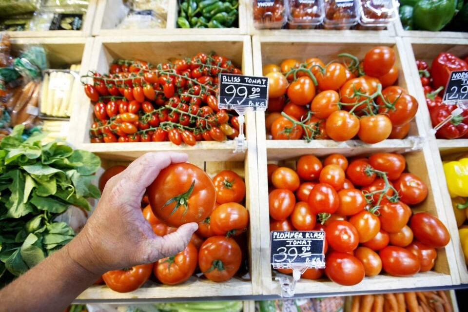 Store gartnerier stenger: Varsler tomatmangel i vinter