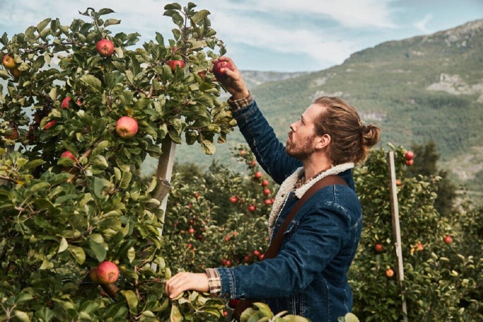 Sprudlende folkefest og Sider-VM i Bergen