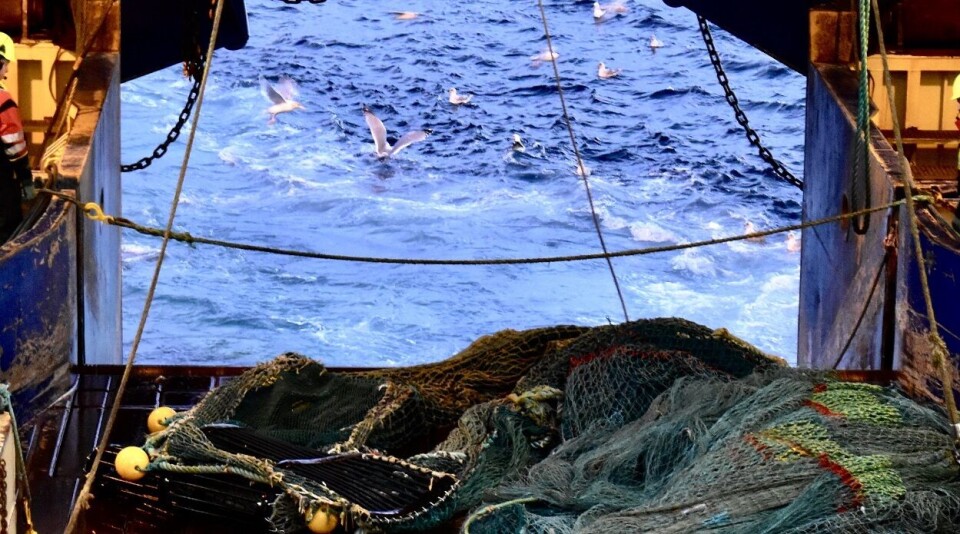 Den havgående flåten er svært betydningsfull for aktivitet og sysselsetting langs hele kysten, ikke minst i Nord-Norge, viser SINTEF--rapporten. Foto: Odd Kristian Dahle/Fiskebåt