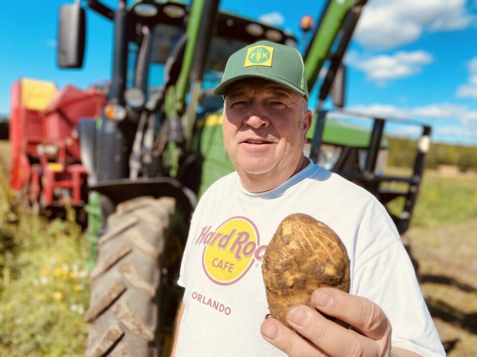 Potetene fra Steinar blir chips til hele landet