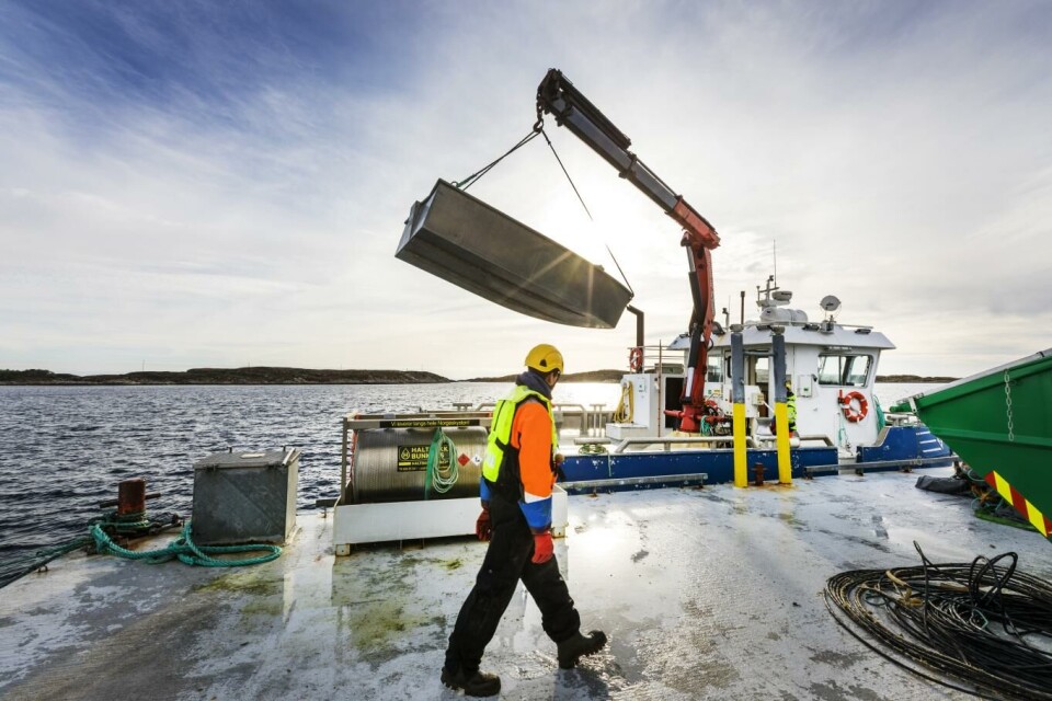 SalMar har sendt varsel om permittering til 851 medarbeidere ved deres prosesseringsanlegg på Frøya og Senja, opplyser selskapet. Foto: Gorm Kallestad / NTB scanpix