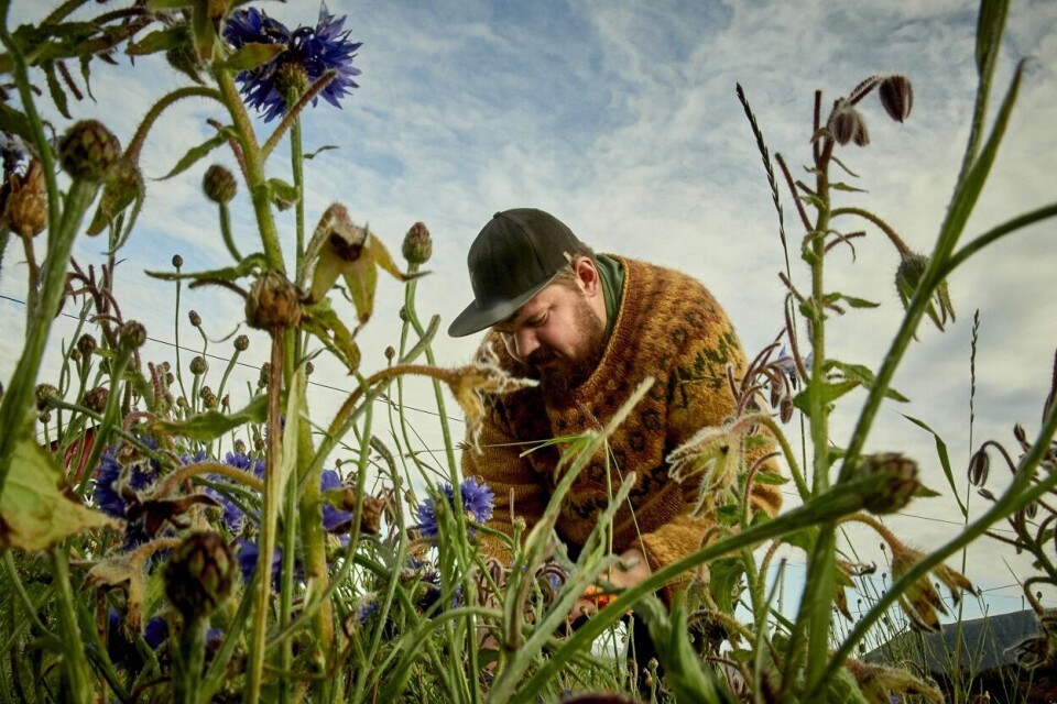 Halvar Ellingsen. Foto Eivind H. Natvig