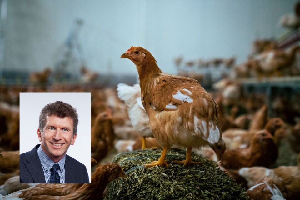 Tor Arne Ruud, administrerende direktør i Animalia, har i dag presentert tallene fra Kjøttets tilstand 2022. Foto: Animalia/Caroline Roka/Jonas Ruud