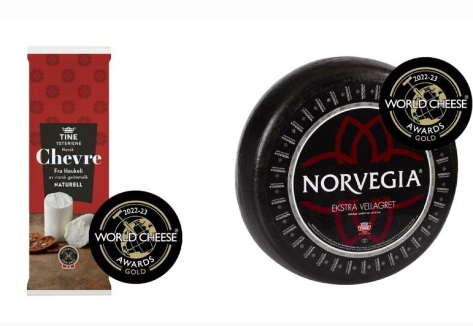 Tine Norsk Chevre Naturell og Norvegia Reserve fikk gull i World Cheese Awards 2022. Foto: Tine