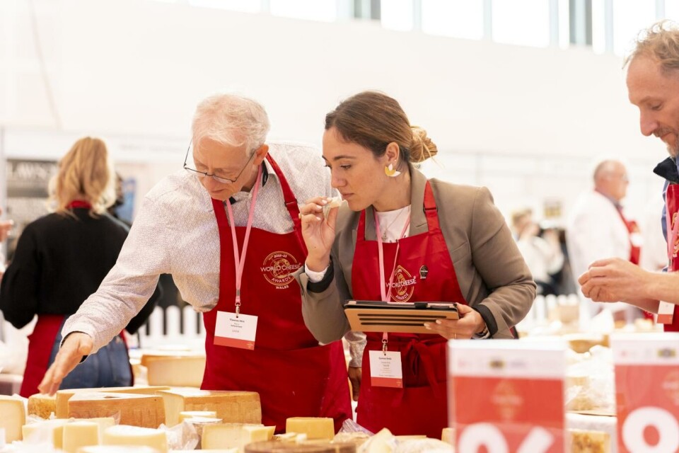 Gjennom bedømmelsesprosessen i årets konkurranse ble 4.434 oster til 98 supergull og deretter 16 finalister. Foto: Guild of Fine Food