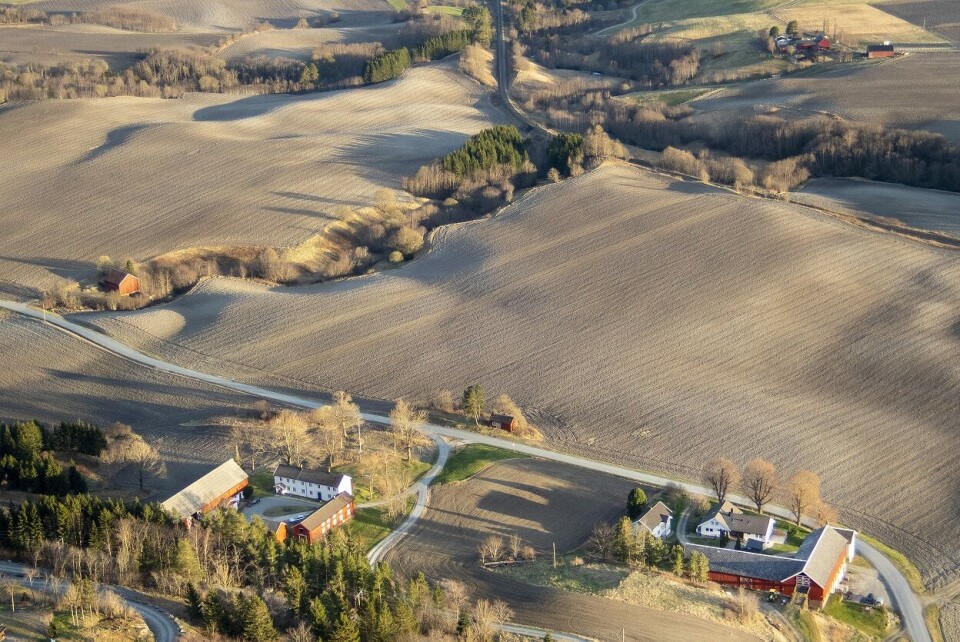 Bøndene må takle kraftig økte kostnader i år. Foto: Gorm Kallestad / NTB